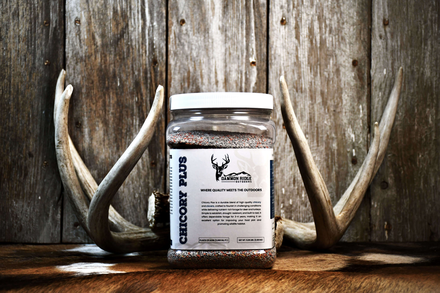Chicory Plus food plot seed jar between whitetail deer antlers by Dammon Ridge Outdoors
