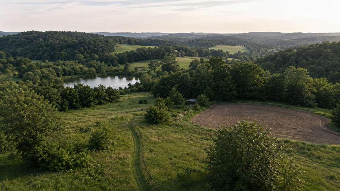 Best Deer Food Plot Seed: How to Choose the Right Mix for Your Property