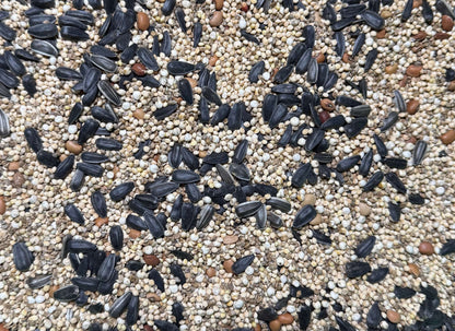 FEATHER FUEL