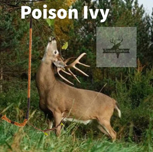Scrape Doctor - Poison Ivy